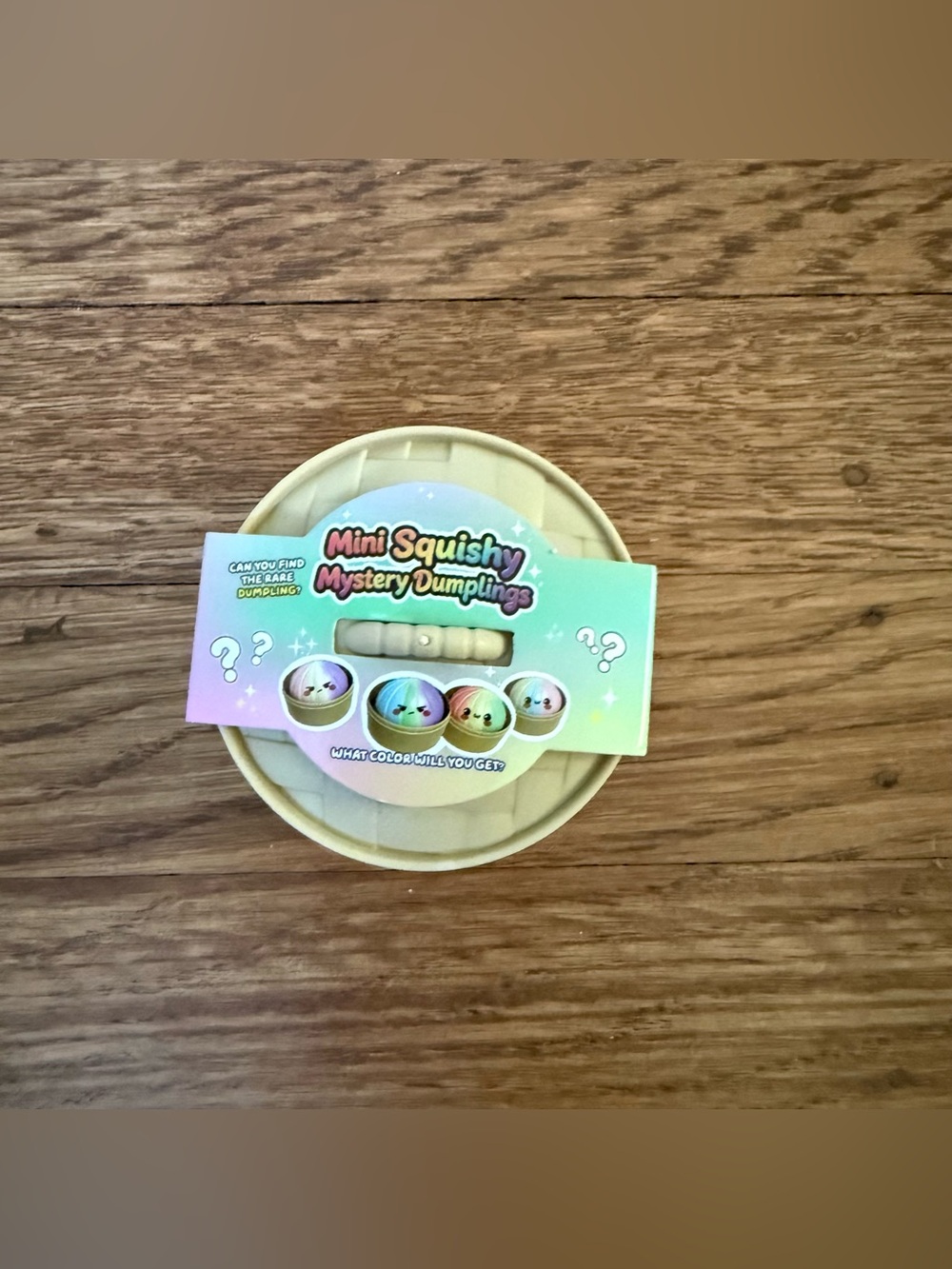 Mini Mystery Squishy Dumplings